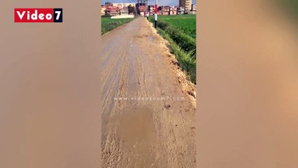 أهالى كفر الشيخ يطالبون بتغطية بلاعات بطريق المدرسة اليابانية