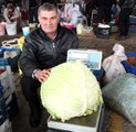 14 kilogramlık dev lahana görenleri şaşırttı