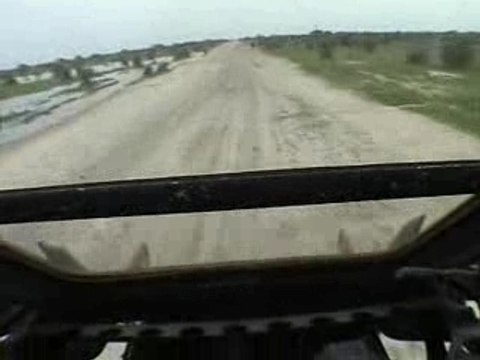 Rase-mottes en super puma