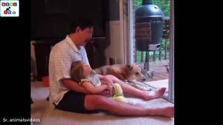 Cute dog - The dog's reaction to the baby for the first time is super fun