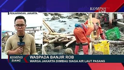 BMKG Prediksi Banjir Rob Ketinggian Air Laut Pagi Ini Masih Normal