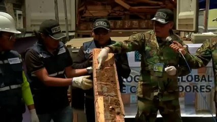 Cae una banda en Bolivia que escondía cocaína en tocones de madera