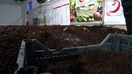 Her gün yarım saatini ayırarak yılda 120 bin TL kazanıyor