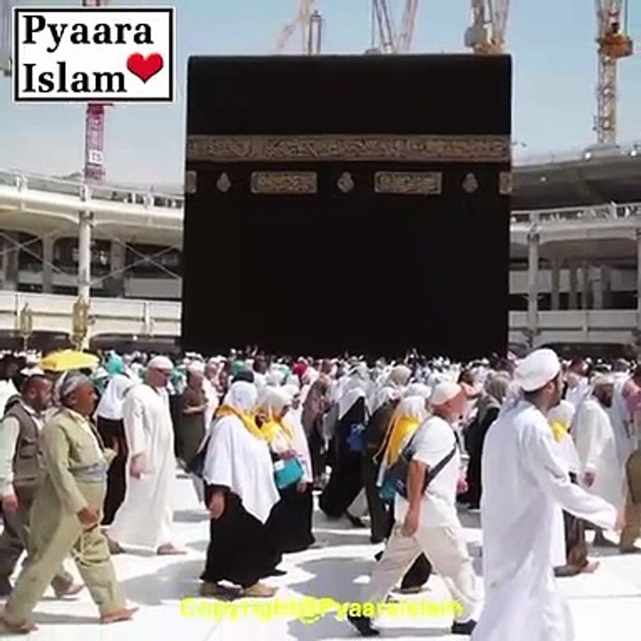 VID-20191228-WA0023  sourah munafikon