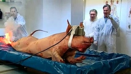 BBC - Horizon - 2008 - How to Kill a Human Being