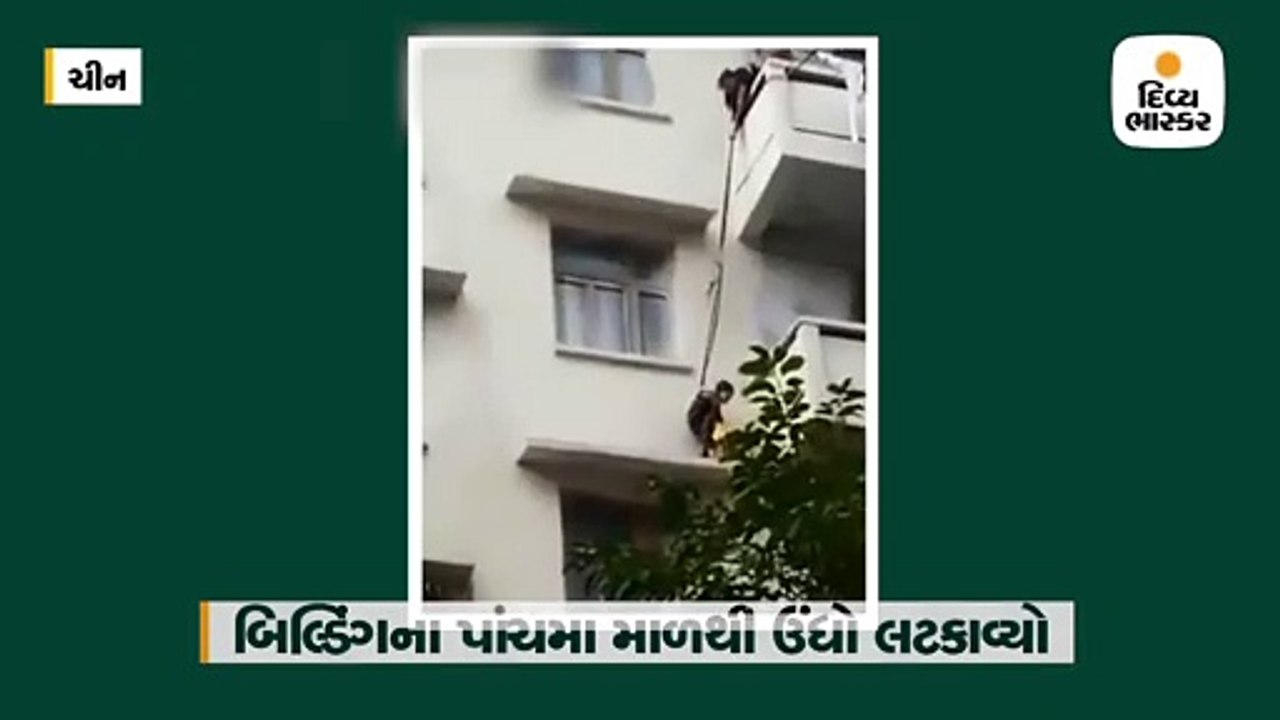 બિલાડીને બચાવવા દાદીએ પૌત્રને પાંચમા માળેથી ઉંધો લટકાવ્યો, યૂઝર્સે કારનામું વખોડ્યું