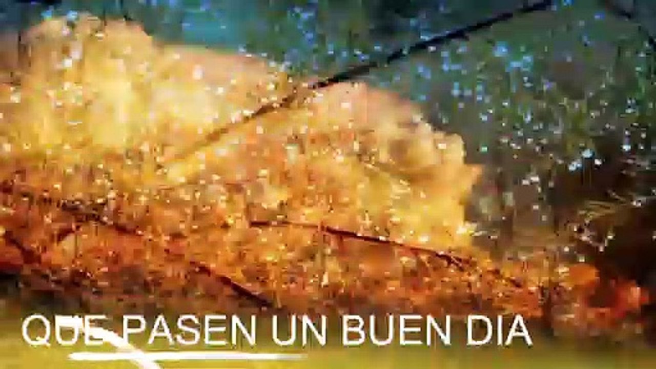 Conoce El Tiempo de Hoy Sábado 11 de Enero de 2020