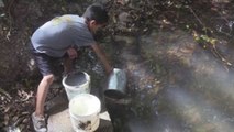 Honduras afronta la peor sequía en los últimos años