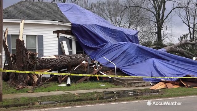 Tree hits this house, leads to one fatality