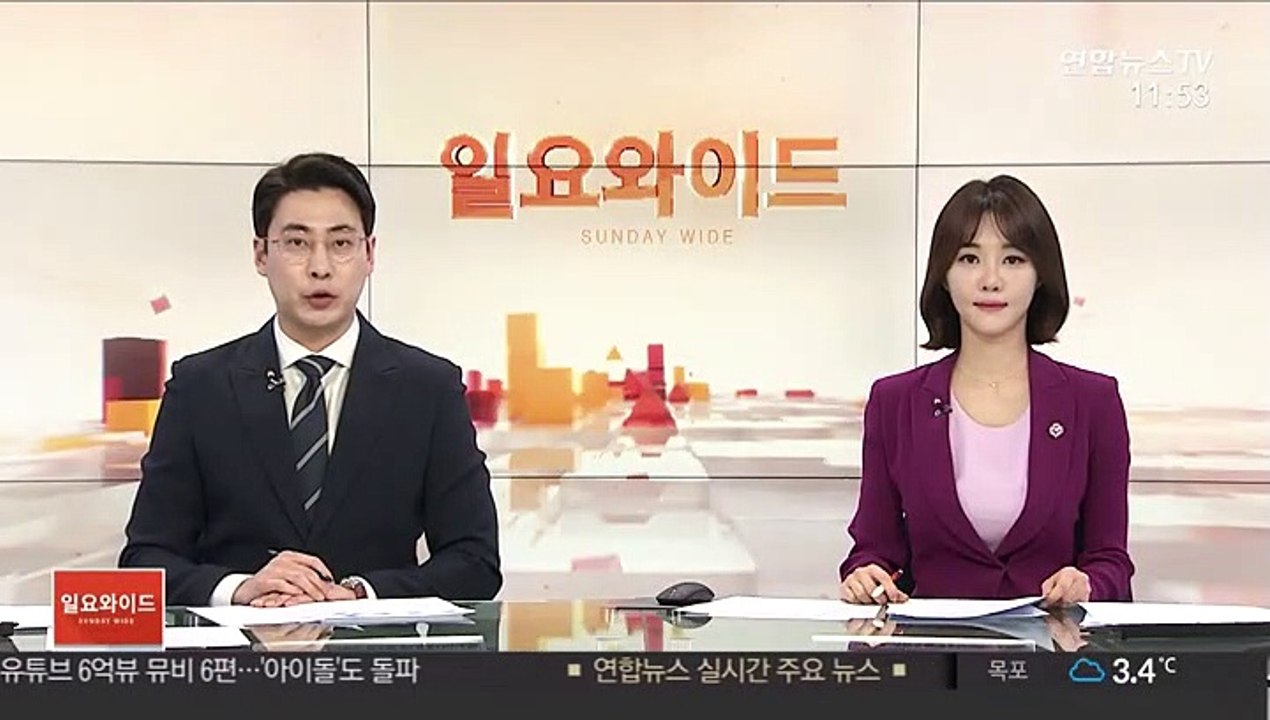 유튜버 피습 용의자 호주 도피…인터폴 공조 요청할 듯