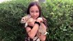 Funny Baby Rabbit Videos - Cute Baby Rabbits - Funny Bunny Baby Videos - Cute Bunnies Video