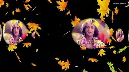 Mistake | Radhakrishn | Krishna vani | Dhananjay priyadarshi