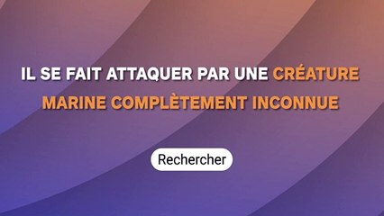 Il se fait attaquer par une créature marine complètement inconnue