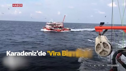 Karadeniz'deki hamsi bolluğu tezgahlara yansıdı