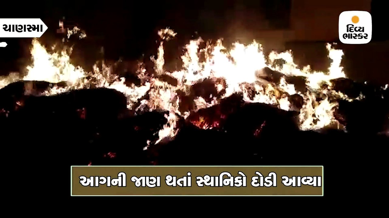 ચાણસ્માની પાંજરાપોળમાં ચાઈનીઝ તુક્કલના કારણે આગ, સૂકો ઘાસચારો બળીને ખાખ