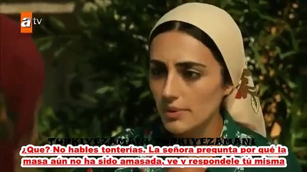 Bir Zamanlar Çukurova subtitulado español 45-2