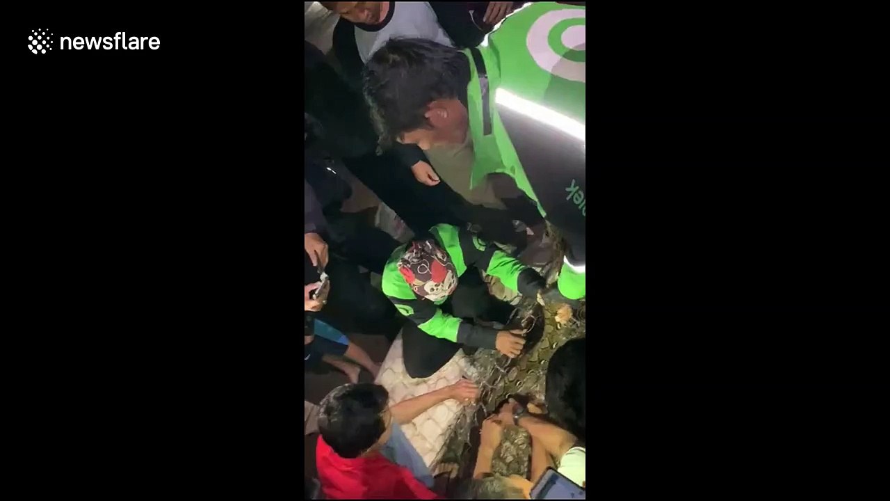 Indonesian man find 4-metre python inside his mattress