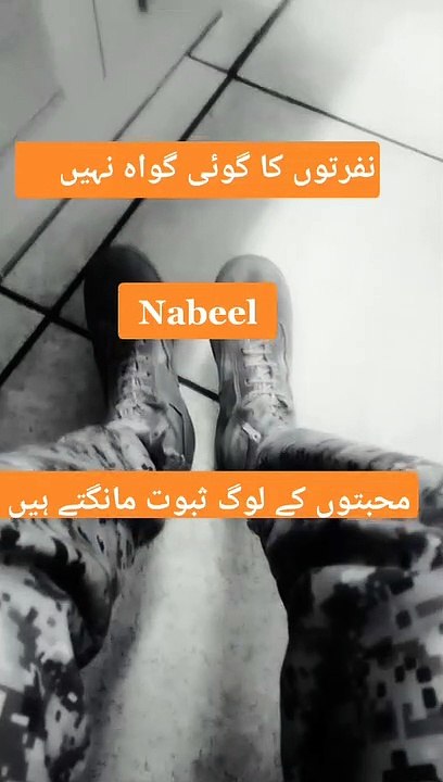 Whatsapp status