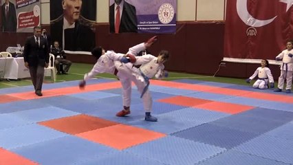 5 Ocak Ulusal Karate Kurtuluş Kupası