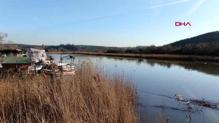 Riva deresi'ne kentsel tasarım; 5 gölet yapılacak