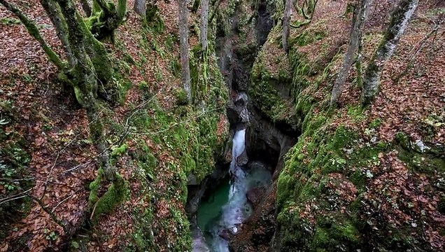 Harmony of Fall | 4K | Best of 4K – Ultimate Edition Vol 2-2017 4K Blu-ray 4K Ultra HD - 2020