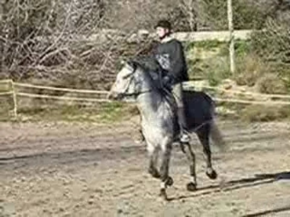 Nath et Othéllo