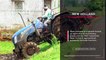 Tractor "John Deere" Excellent Performance | CRAZY Tractor Driver | JD 5045D 4WD / SWAMI Tractors