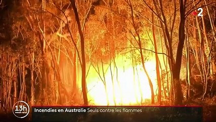 Incendies en Australie : seuls contre les flammes