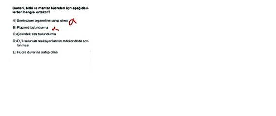 Sıradışı Analiz Yayınları TYT 3. Deneme Sınavı - Fen 17. Soru