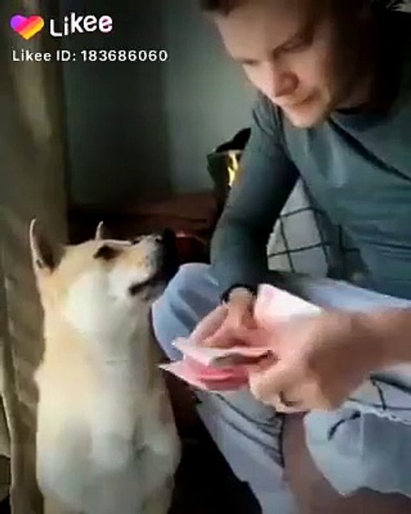 Best comedy video