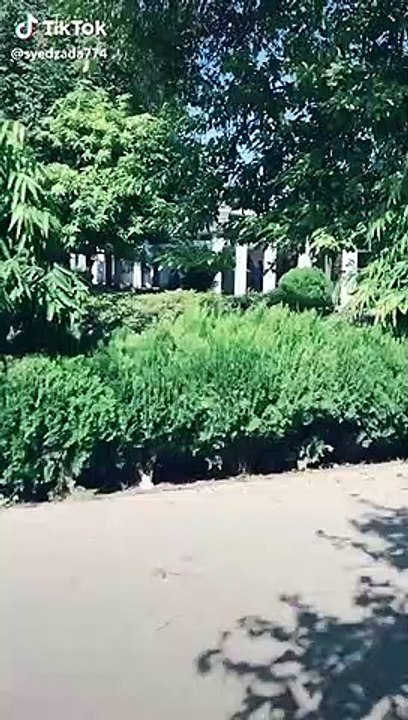 VID-20191014-WA0001