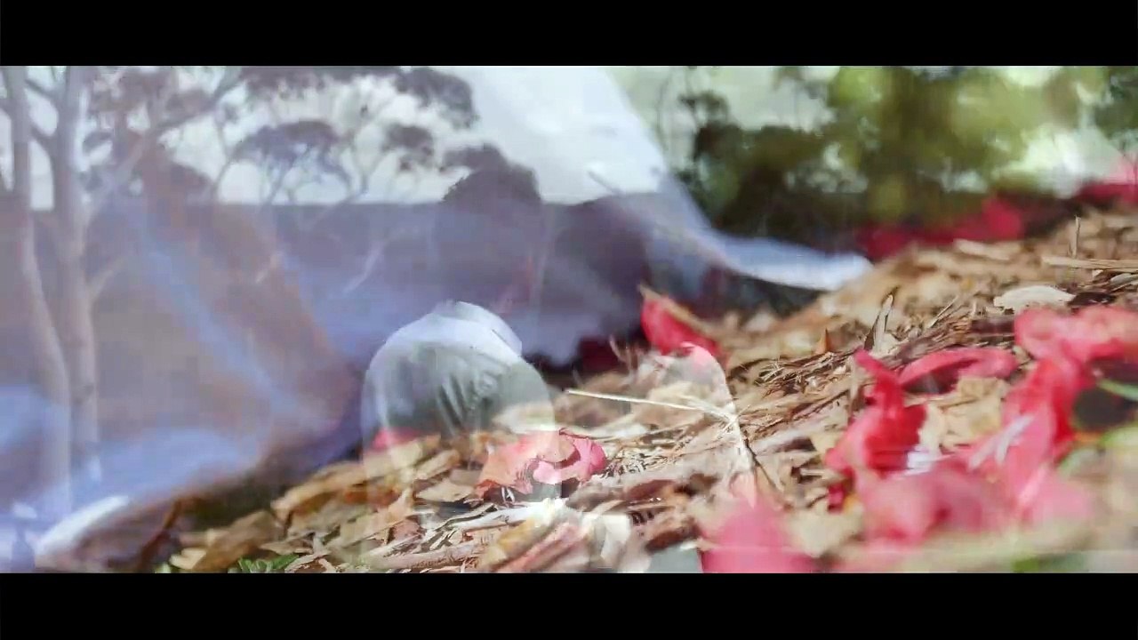 Hẹn Một Mùa Xuân  - Huỳnh Phi Tiễn