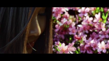 Đan Áo Mùa Xuân - Huỳnh Phi Tiễn