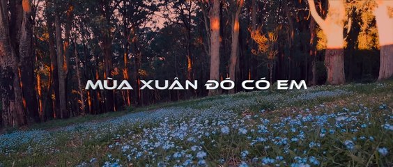 Mùa Xuân Đó Có Em - Huỳnh Phi Tiễn