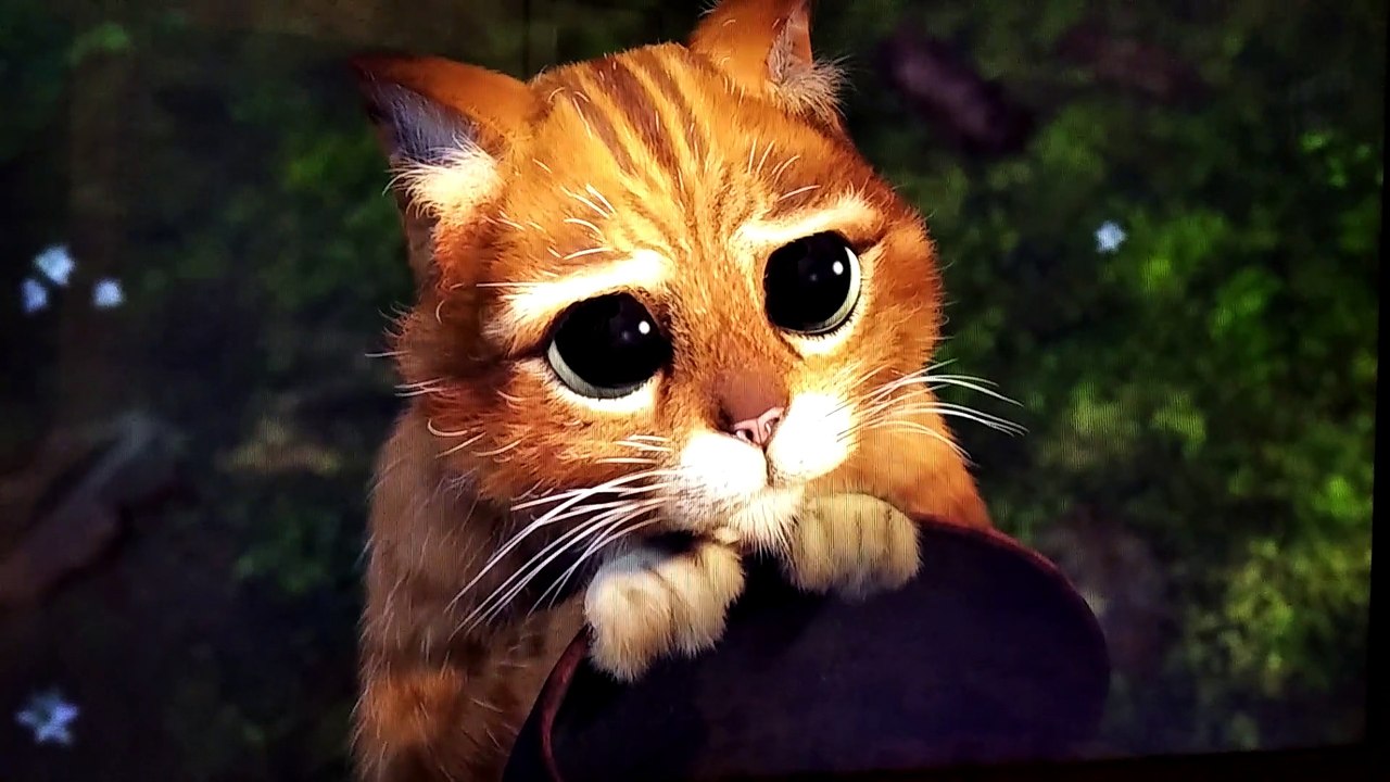 Shrek 2 escena del gato con botas