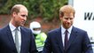 Prince William Told A Friend He And Prince Harry Are 'Separate Entities'