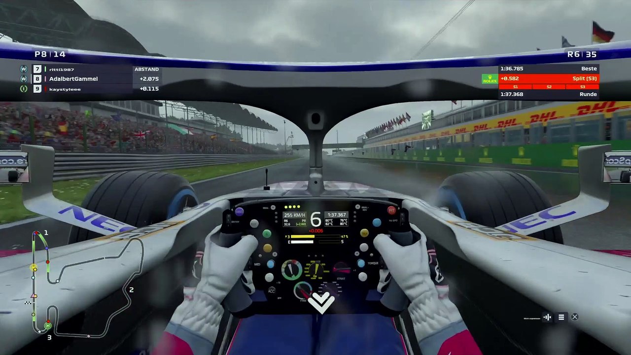 F1 2019 - F1RLPSN - Ungarn