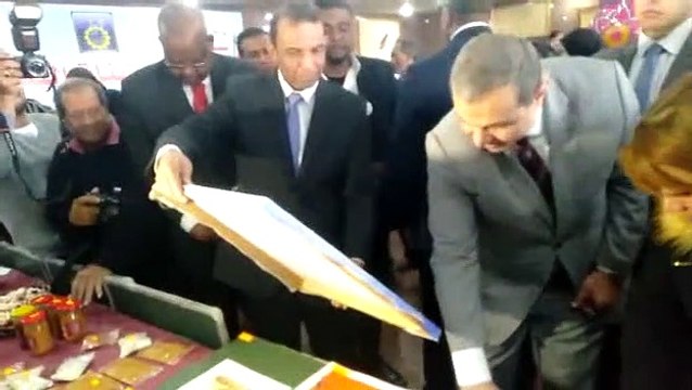 وزير القوى العاملة يختتم جولته بالصعيد بزيارة أسوان