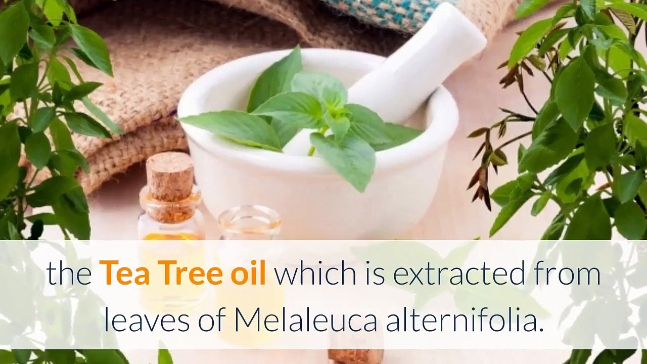 Home Remedies for Acne - 7 Home Remedies to Get Rid of Acne Fast