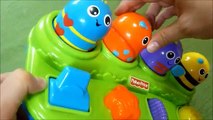 Review of Fisher Price Brilliant Basics Boppin Activity Bugs - Cause and Effect Pop Up Toy