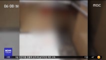 '유튜버 피습' 용의자 체포…사진관 화재 5명 부상