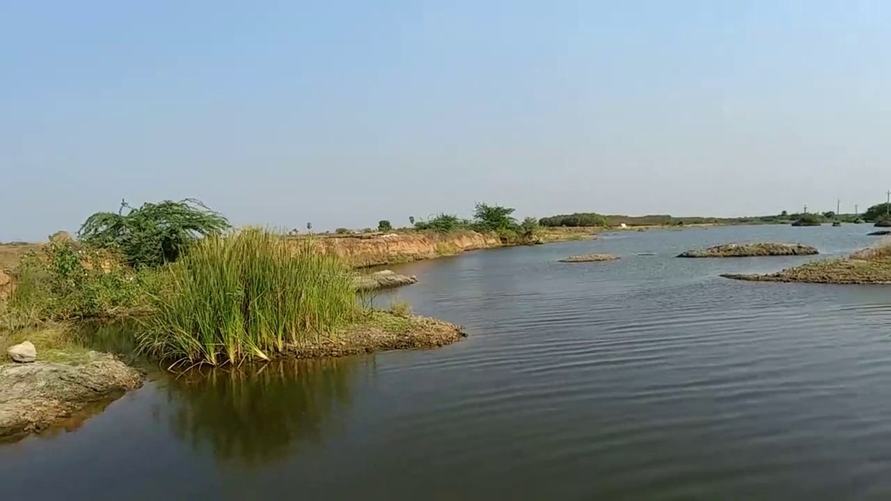 Fish_hunting 2020 with  through
