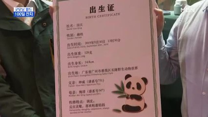 [굿모닝월드] 100일 잔치