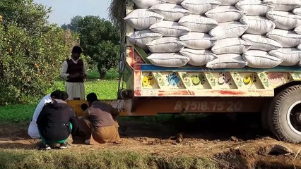 Download Video: Tractor Incident Ford 3600 Pulled Stucked Trolley / Tractor Stuck in Deep Mud