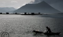 Taal Volcano eruption looms but it's business as usual for this fisherman