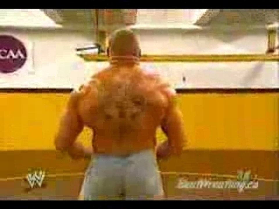 The Origin of F 5 Brock Lesnar