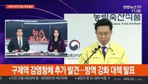 [현장연결] 구제역 감염항체 추가 발견…방역 강화 대책 발표