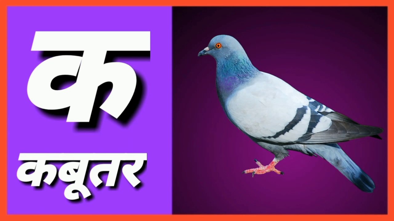k se Kamal , क से कबूतर , k se kabutar, Nursery Rhymes , Rhymes ...