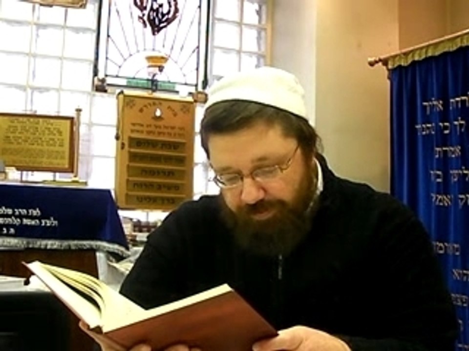 Breslev-paris.com paracha tetsave-l'huile d'olive et le juif