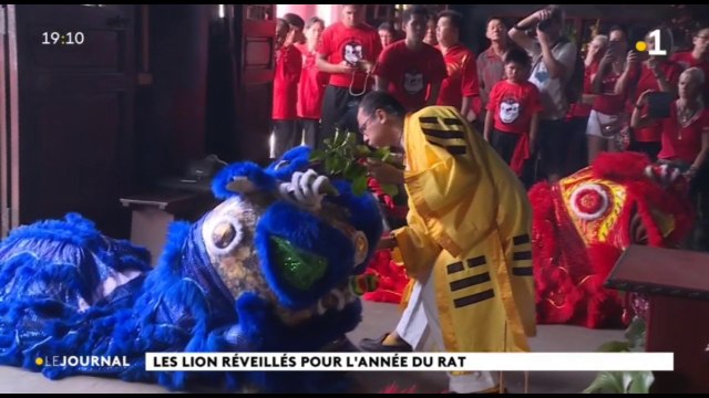Nouvel an chinois : les lions se réveillent